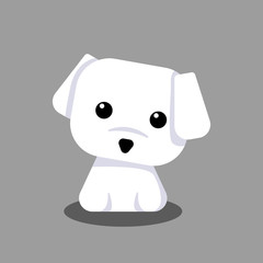 Cute Maltese White Puppy Cartoon Vector, for design, banner, logo