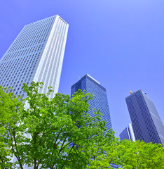 新緑の新宿副都心の風景

