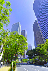 新緑の新宿副都心の風景

