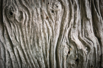 natured color wood texture background. Old wooden texture. Wooden texture. Close up shot Old wooden textured.