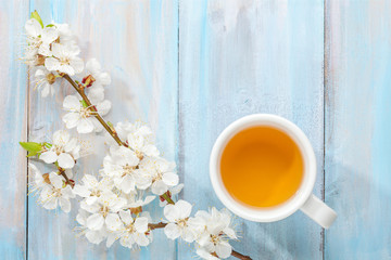 Cup of tea and branch of blossoming apricot on old wooden table.