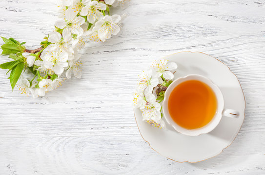Cup of  tea and  branches of blossoming  cherry   on old  wooden  background.