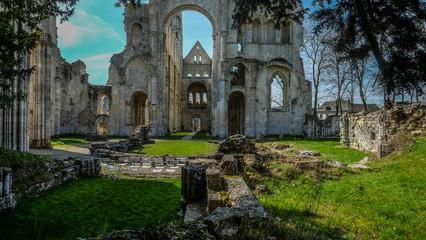 Obraz premium Ruins of Monastery Abbaye de Jumièges / Jumièges Abbey in Normandy, France
