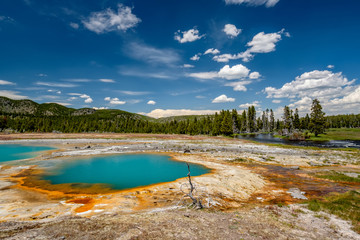 Fototapeta na wymiar Hot thermal spring in Yellowstone