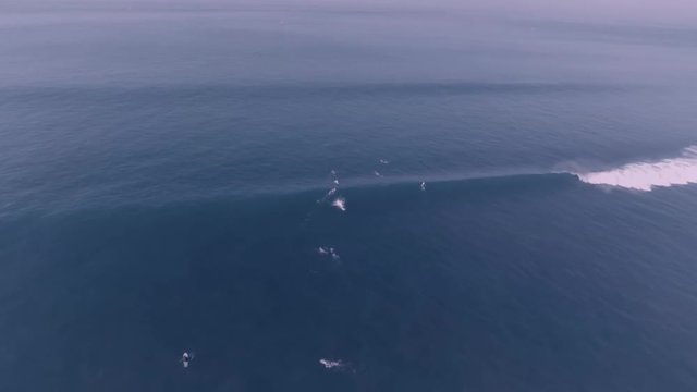 Aerial view of beach and ocean with waves and surfers surfing big waves in Bali, Indonesia Asia