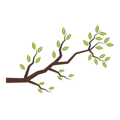 Tree branch isolated icon vector illustration graphic design