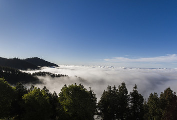 Aridane Santana Llarena