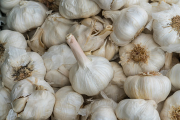 Pile of garlic
