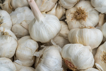 Pile of garlic