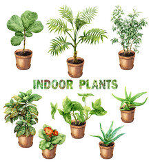 Watercolor Indoor Pot Plants © val_iva