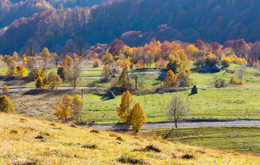 Dirty secondary road in autumn Carpathian mountain, Ukraine
