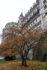 tree castle chateaux France