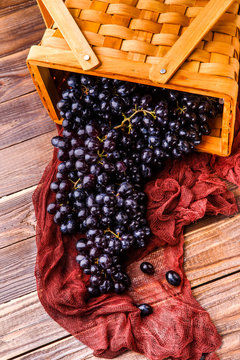 Photo of black grapes in wooden basket with claret cloth