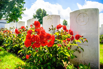 View on British cemetery by Ypres in Belgium