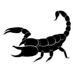Vector image of a silhouette of a scorpion on a white background.