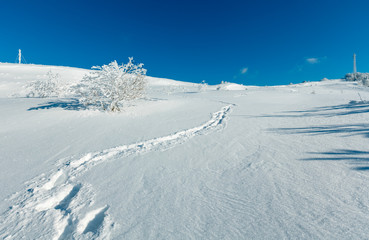 Winter hoar frosting trees,  tower and snowdrifts (Carpathian mountain, Ukraine)