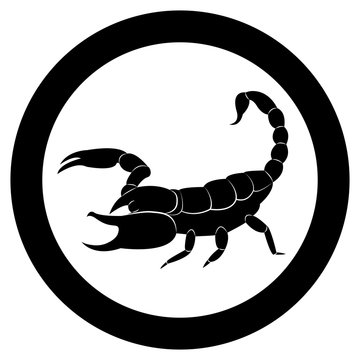 Vector image of a silhouette of a scorpion on a white background.