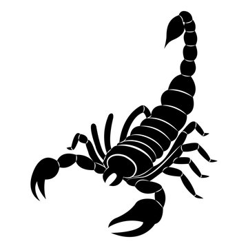 Vector image of a silhouette of a scorpion on a white background.