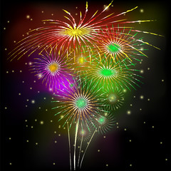 Fototapeta premium Vector image of salute. Fireworks on a black background.