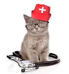 british kitten with a stethoscope, glasses and medical hat. isolated on white background