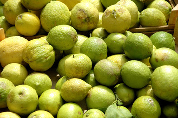 Catane (Sicile) Marché aux poissons de Catane