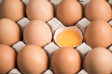 Fresh eggs in the egg panel.