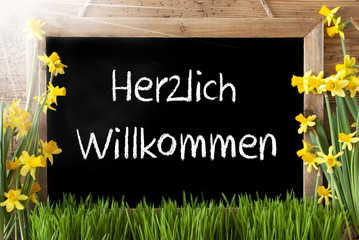 Sunny Spring Narcissus, Chalkboard, Herzlich Willkommen Means Welcome