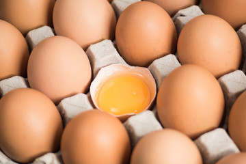 Fresh eggs in the egg panel.