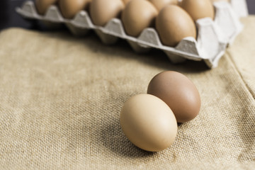 Eggs in the egg panel on cloth.