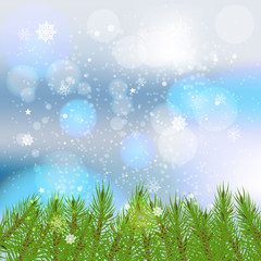 Fototapeta na wymiar Winter card with snowflakes.