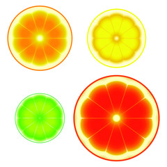 Fresh ripe sliced citrus fruits: grapefruit, orange, lemon, lime. Isolated symbols on white background. Abstract vector illustration