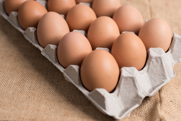 Eggs in the egg panel on cloth background.