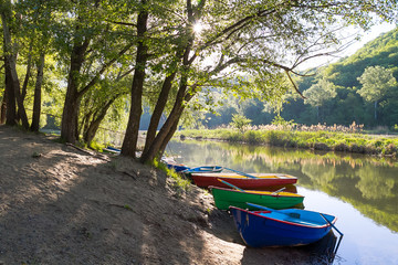 Sunny summer day. On the river bank are colorful boats. The trees lean over the water. On the other hand, a reed grows. In the background there is a green forest.