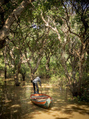 Fototapeta na wymiar Sailing through a mangrove forest in Cambodia