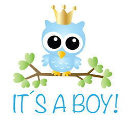 Fototapeta premium zapowiedź noworodka lub baby shower