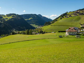 Idyllic landscape in the Alps with fresh green meadows and blooming flowers and snowcapped mountain tops in the background, Santa Maddalena, Italy, september 2017