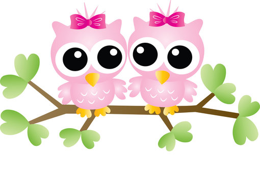 two adorable pink owls sitting on a branch