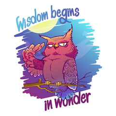 Night owl illustration with quote 