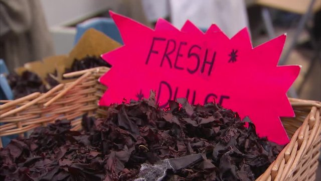 A close up shot of fresh dulse being sold on a supermarket.