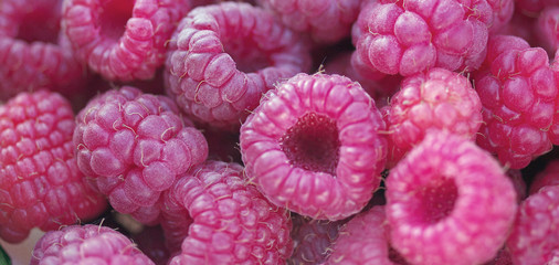 Collected berries ripe raspberries.