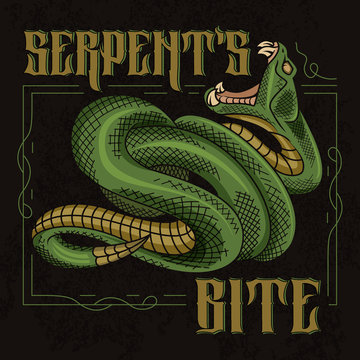 Serpent's bite poster of viper snake with designed frame in vintage style.