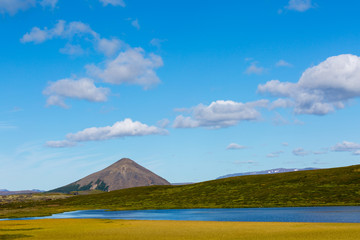 Fototapeta premium Iceland, green landscape. Europe