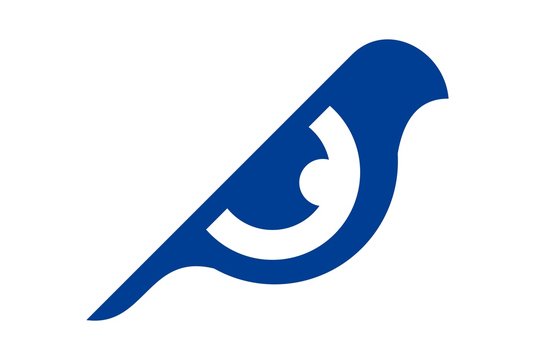 eye bird abstract logo vector