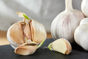 Garlic close up on wooden plate on black board,shallow depth of field, selective focus, macro