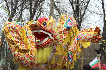 dragon from china mask