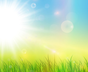 Obraz premium Sunny green background, spring natural vector background.
