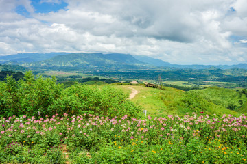 Fototapeta na wymiar Mountain view with flower garden on mountaintop. The location in Khao Kho District, Phetchabun, Thailand, Southeast Asia.