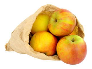 Fresh apples in an environmentally friendly brown paper bag isolated on a white background © philip kinsey