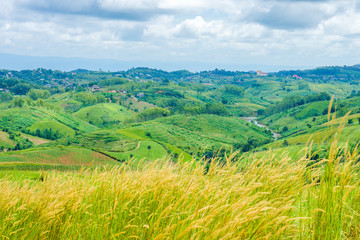 Obraz premium Mountain view with desho grass on mountaintop. The location in Khao Kho District, Phetchabun, Thailand, Southeast Asia.