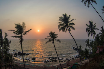Obraz premium Sunset visible through palm leaves
